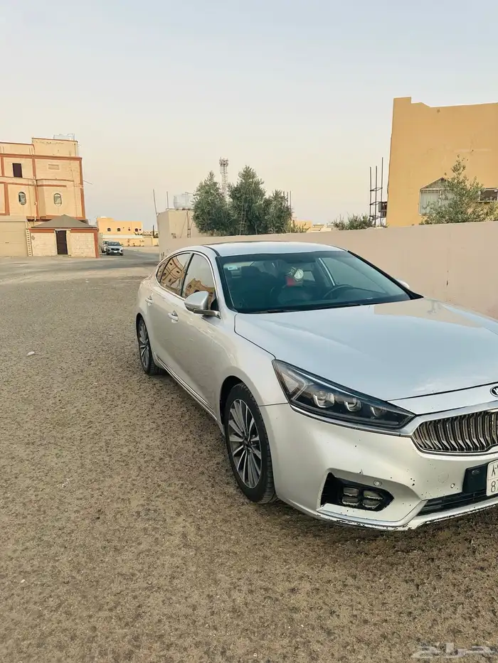 كادينزا 2018 6