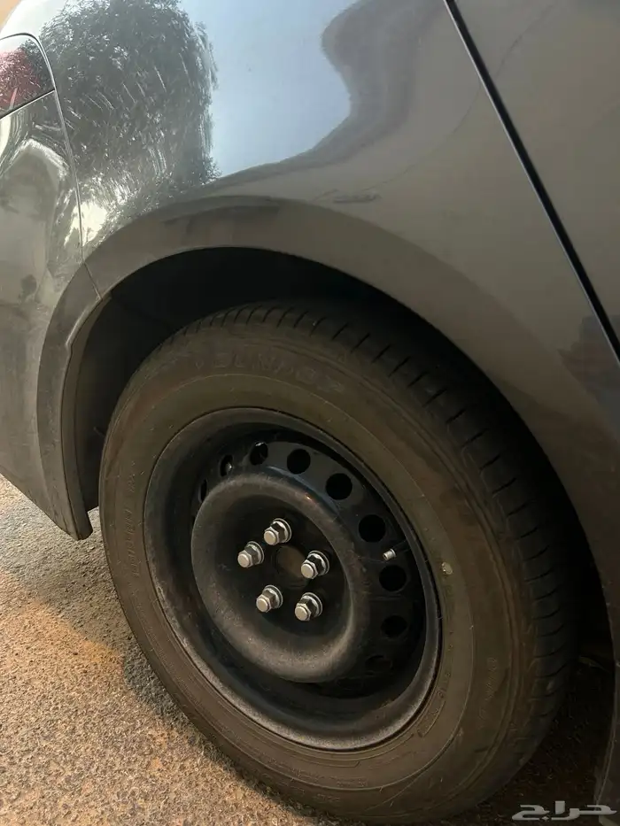 جنوط سوح كورلا 23 0