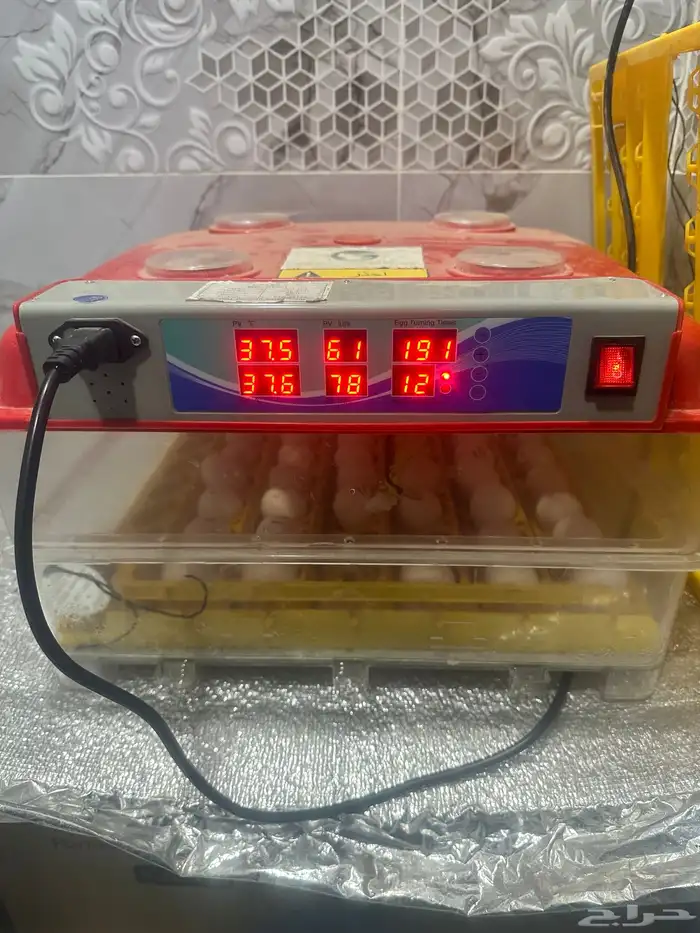 فقاسة 96 بيضة 1