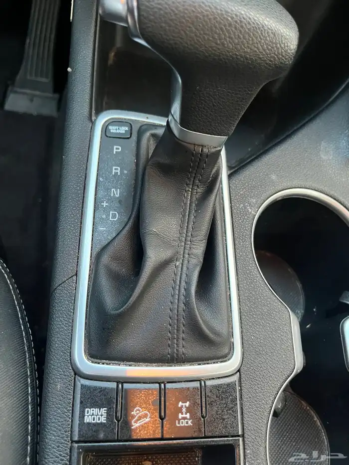 سبورتاج 13