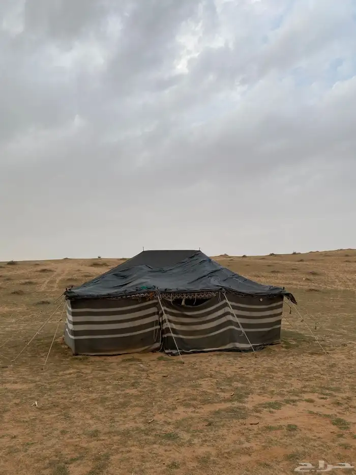 خيمة بيت شعر 1