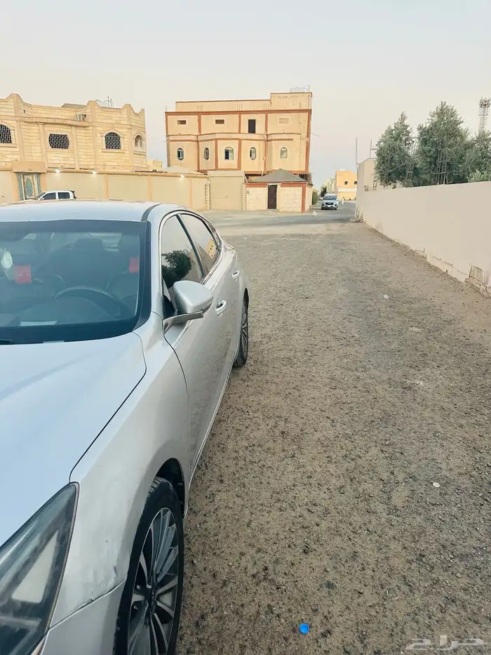 كادينزا 2018 1