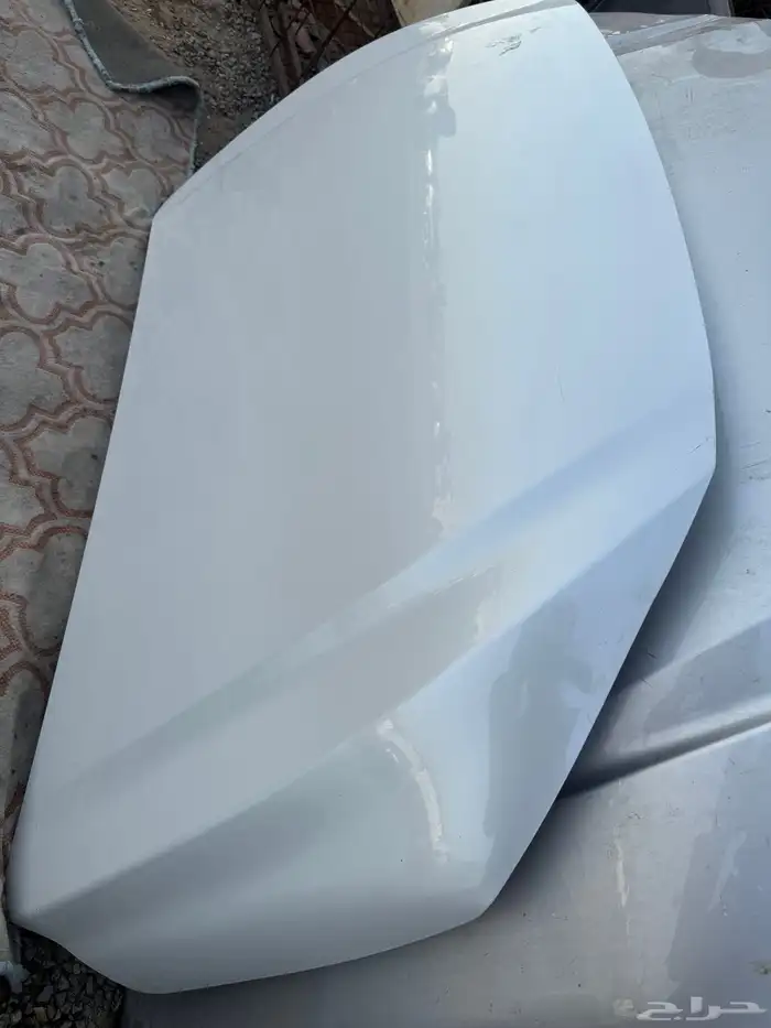 كبوت يارس 23-24وكاله 0