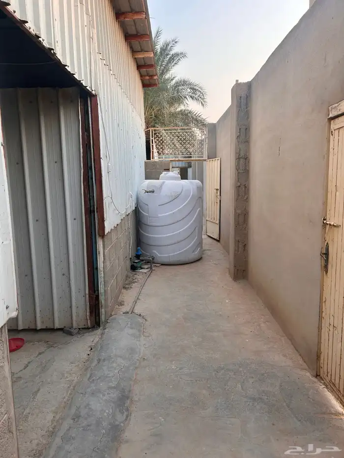 للتقبيل موقع كامل للدواجن 1