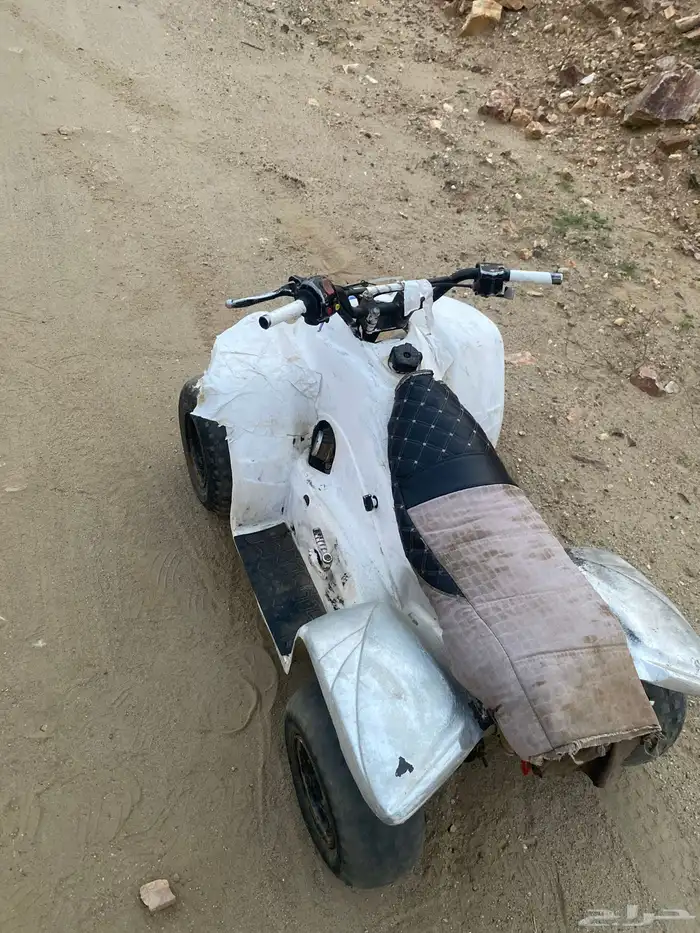 دباب 1