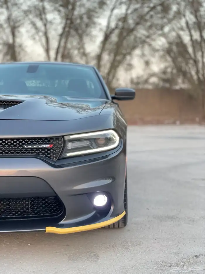 دودج-تشارجر-2019-GT 13