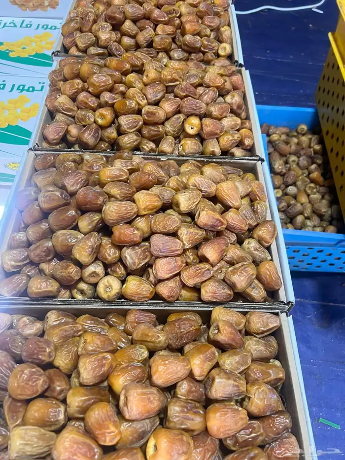 مفتل سكري ملكي فاخر 5