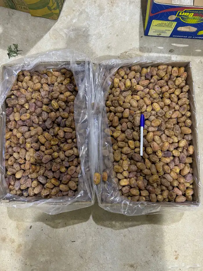 تمر خلاص فاخر 3