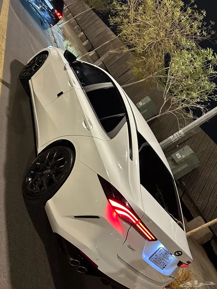 امباو 2024 19