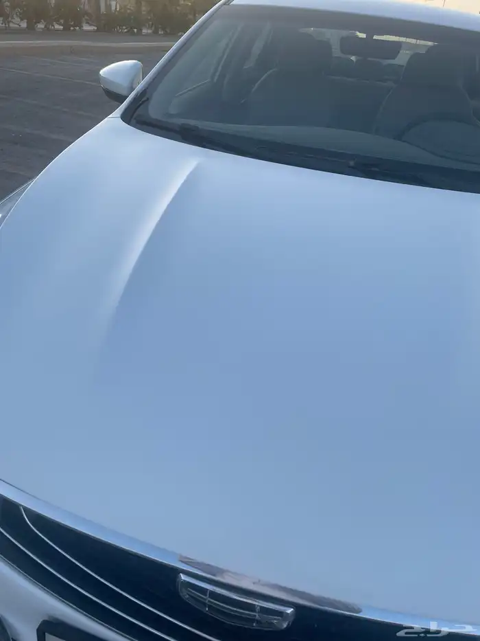 جيلي بينراي 2022 3