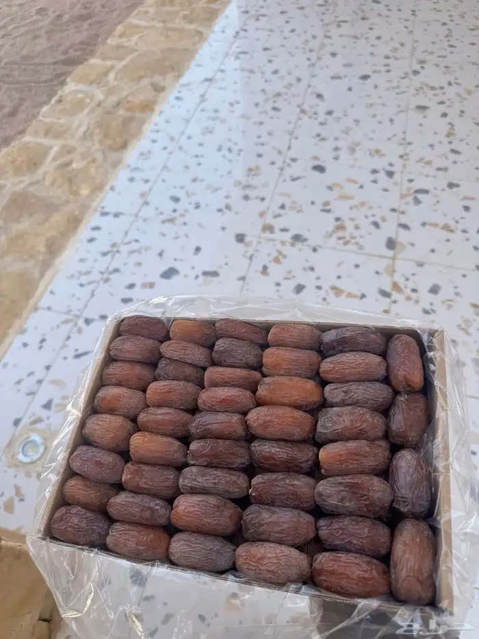 للبيع تمر مجدول فاخر كرتون 3كيلو 1