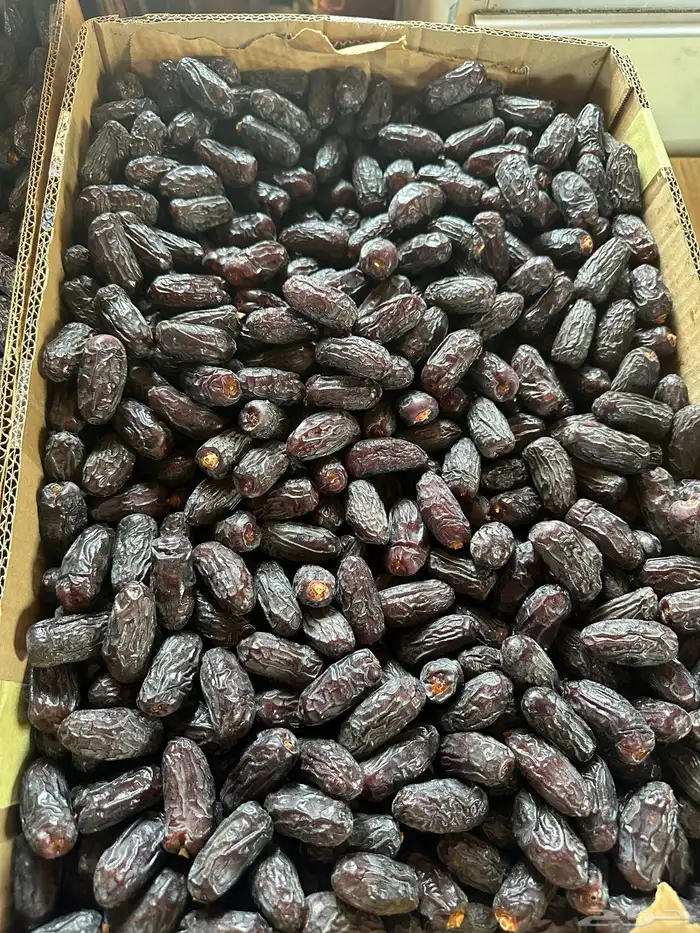 صفاوي 2