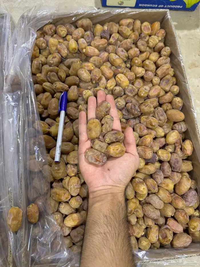 تمر خلاص فاخر 1