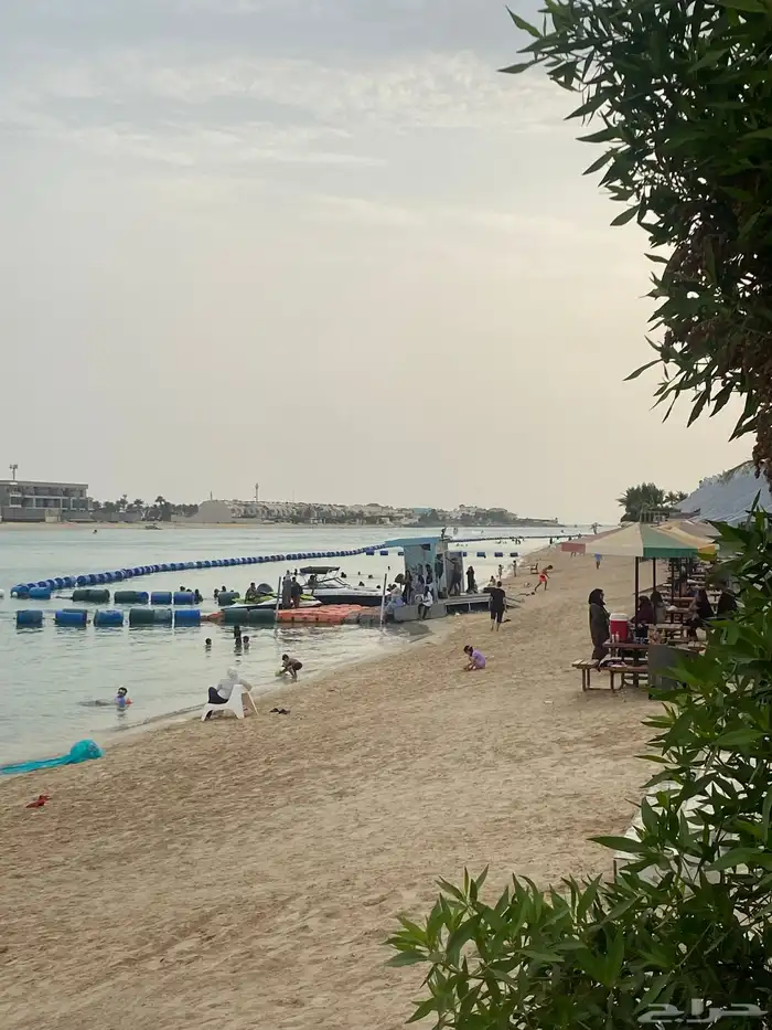 رجعت اقوى العروض لوسط الاسبوع شاطئ البرادايس 3