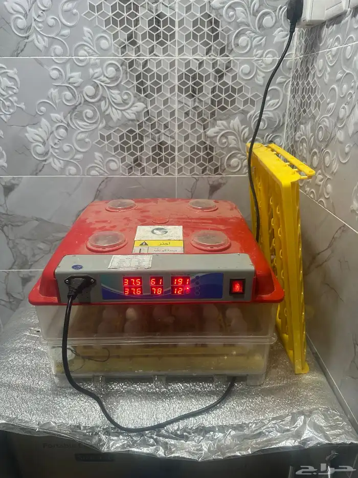 فقاسة 96 بيضة 0