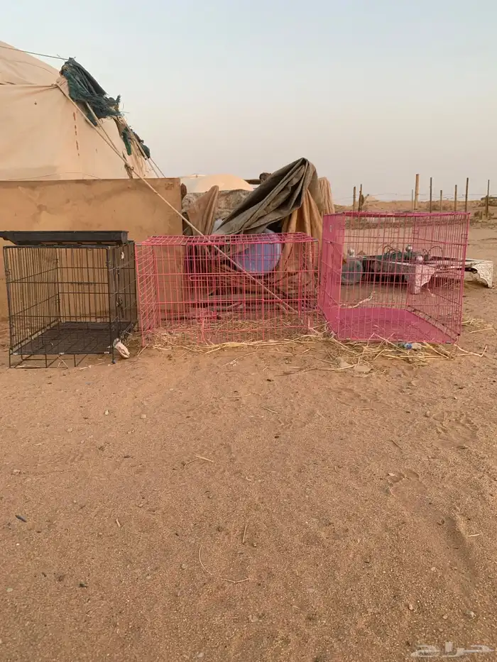 شرق الرياض حي الرمال تنال 1