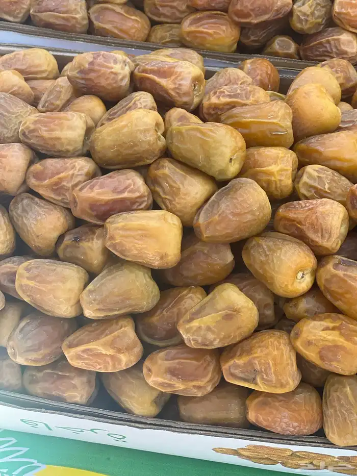 مفتل سكري ملكي فاخر 2