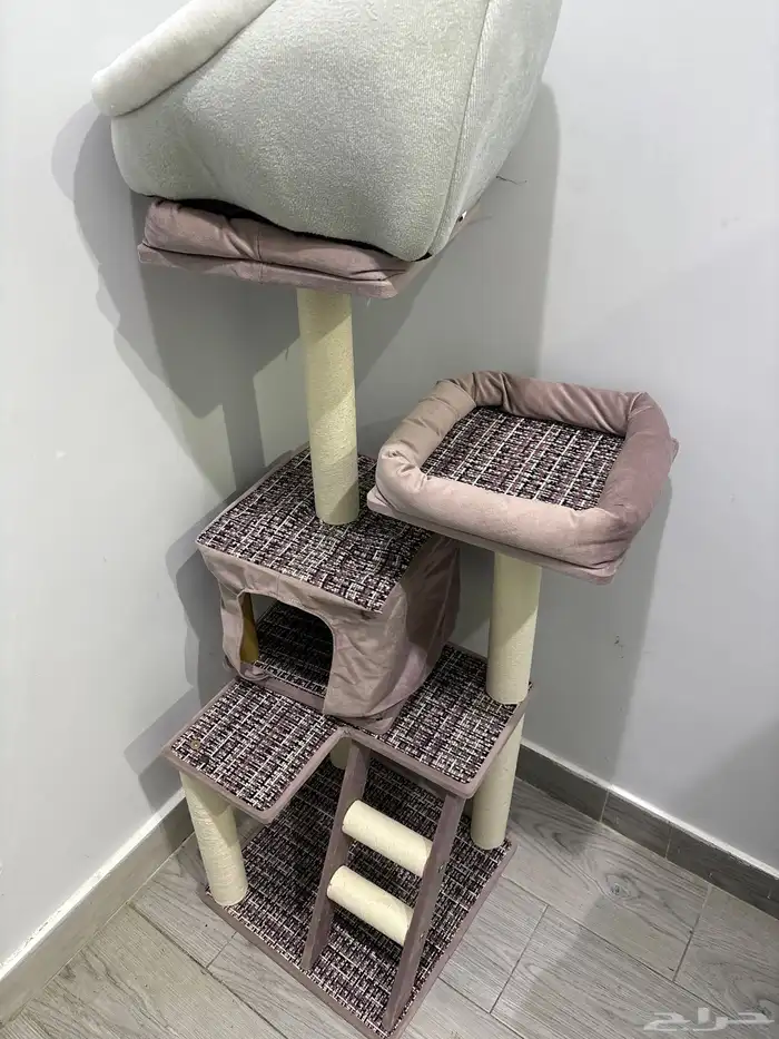 بيت بسه ومخاشه 1