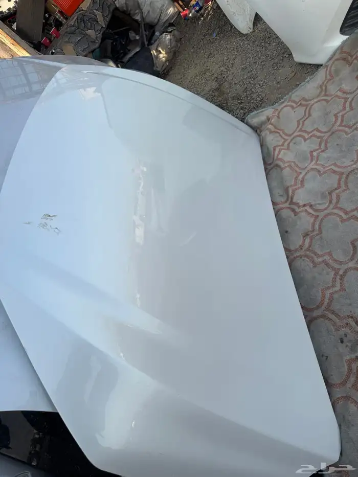 كبوت يارس 23-24وكاله 1