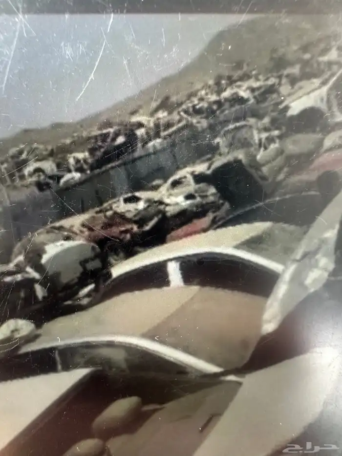 مندوب تشاليح السلي والحائر والوكالات يوجد شحن 5