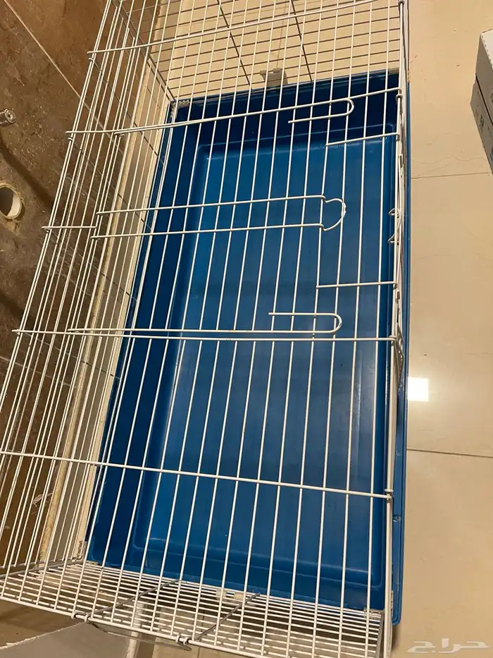 قفاص للبيع لجدة 1