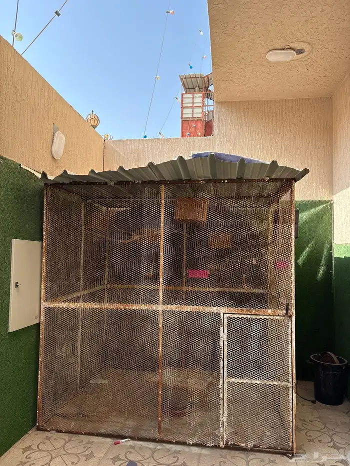 صندقة طيور 0
