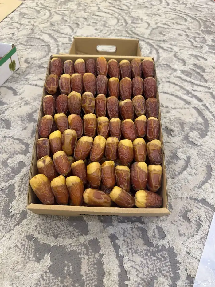 صقعي مبروم فاخر 0