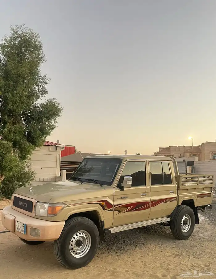 شاص غمارتين2015 1