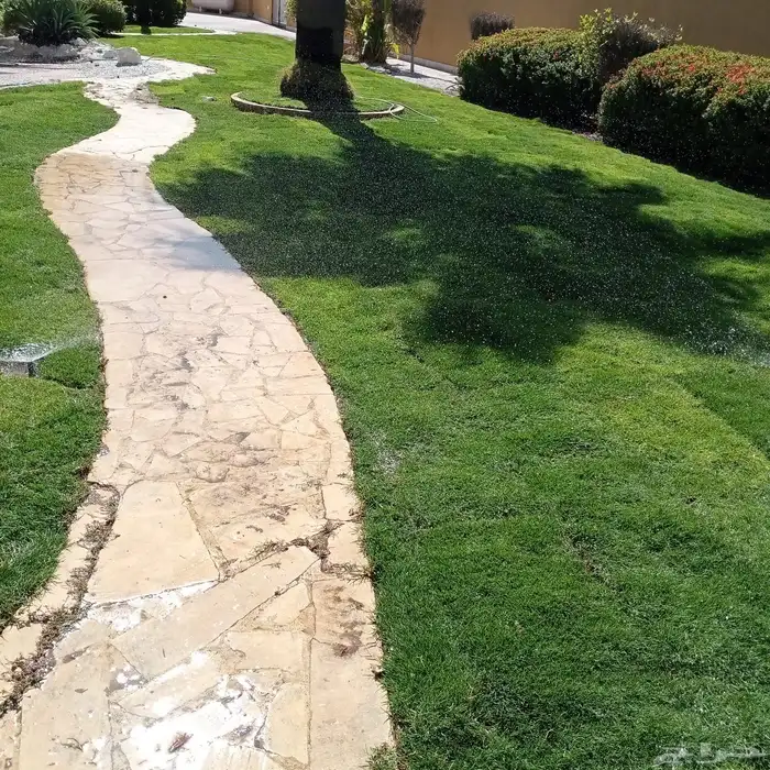 صيانة حدائق تصميم حدايق 65