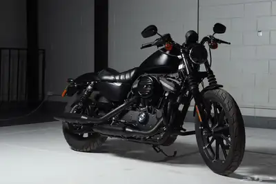 هارلي ديفيدسون Harley Davidson sportster 883 2021 index
