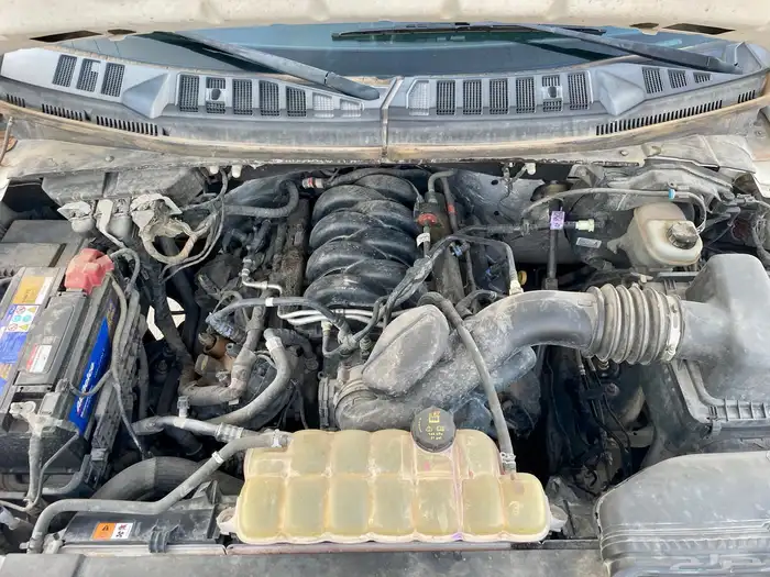 فورد XL F150 مديل 2019 غمارتين نظيف 10