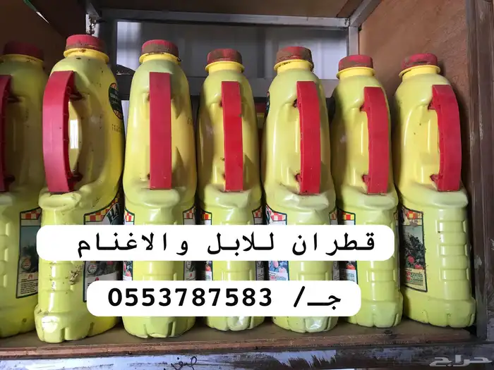 قطران للابل والاغنام 0