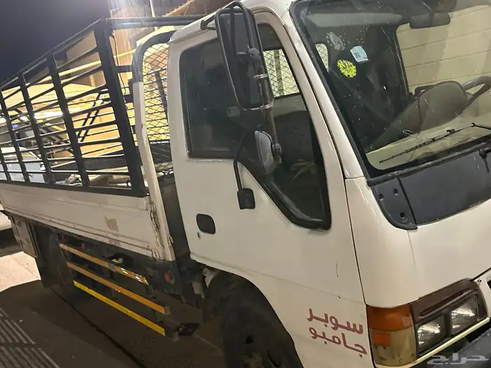 دينا 1