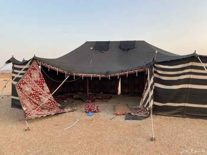 للبيع اغراض مخيم وبيوت شعر نظيفه 1