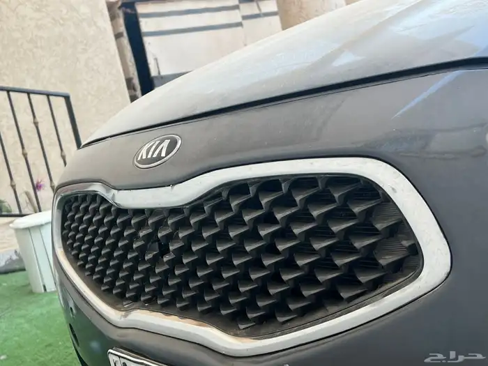 شبك كادينزا 0