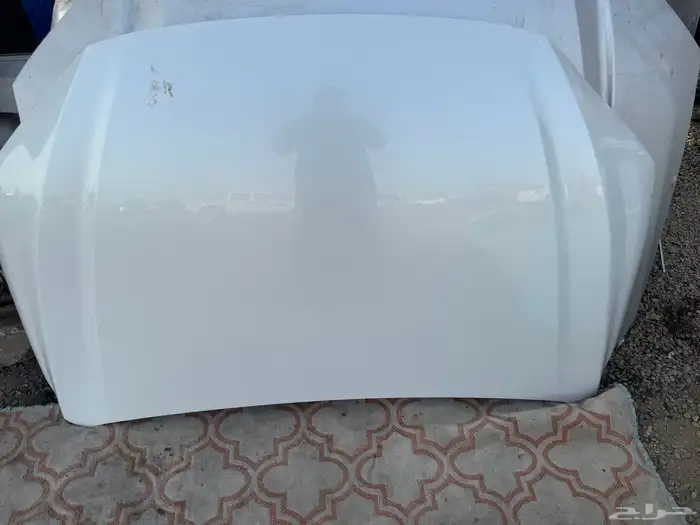 كبوت يارس 23-24وكاله 4