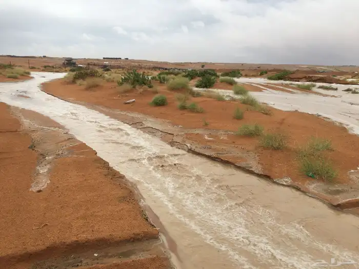 مطلووب عزبه حلال للبيع الرويدف الحلقه الشرقيه 1