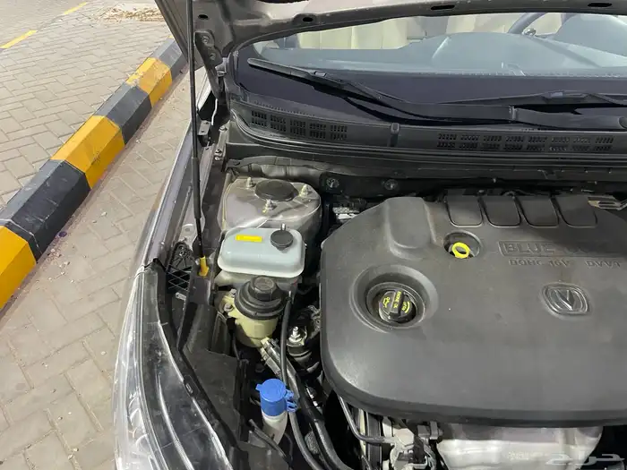 شانجان 7