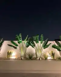 تنسيق حدائق 2