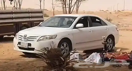 عود عزف 0