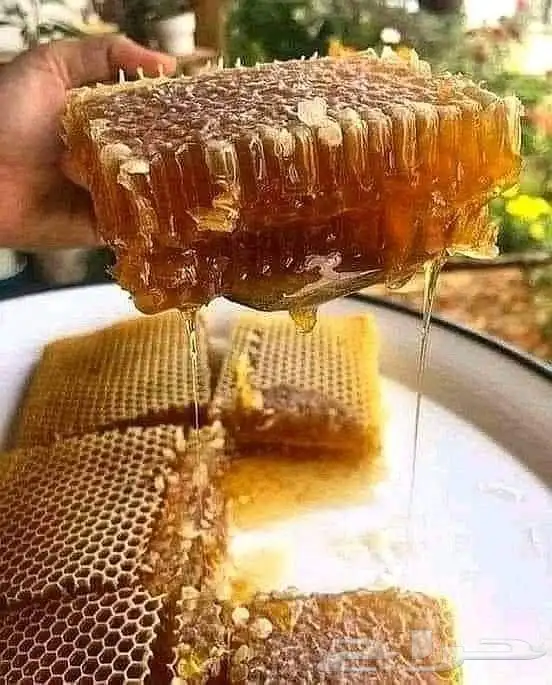 حياكم الله يوجد لدينا عسل مضمون من مزرعة خاصة في رجال المع. 0