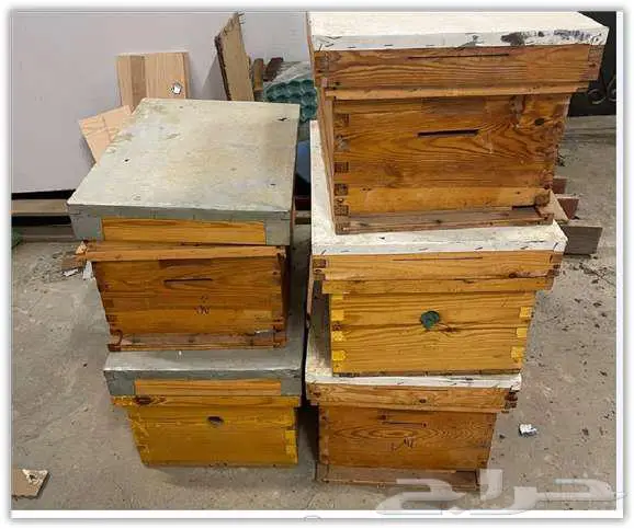 خلايا نحل و شمع ممطوط 7