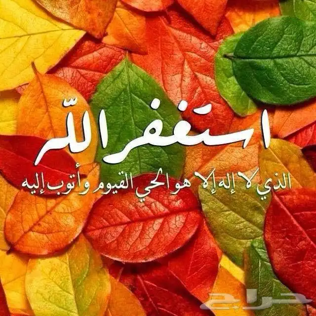 مصندق 2003 التوقيع مخزن ( واتس فقط ) 32