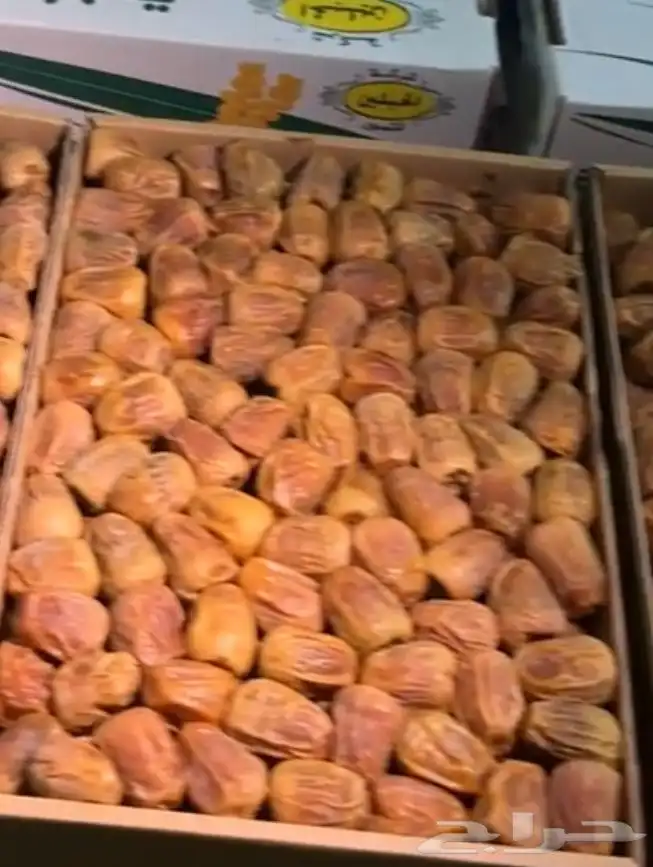 تمر سكري مفتل 0