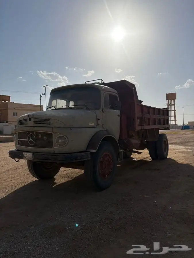 عايدي قلاب كفو جدا 0