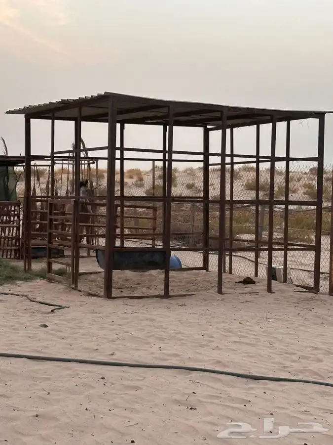 غرف خيل ( بايكة) 0