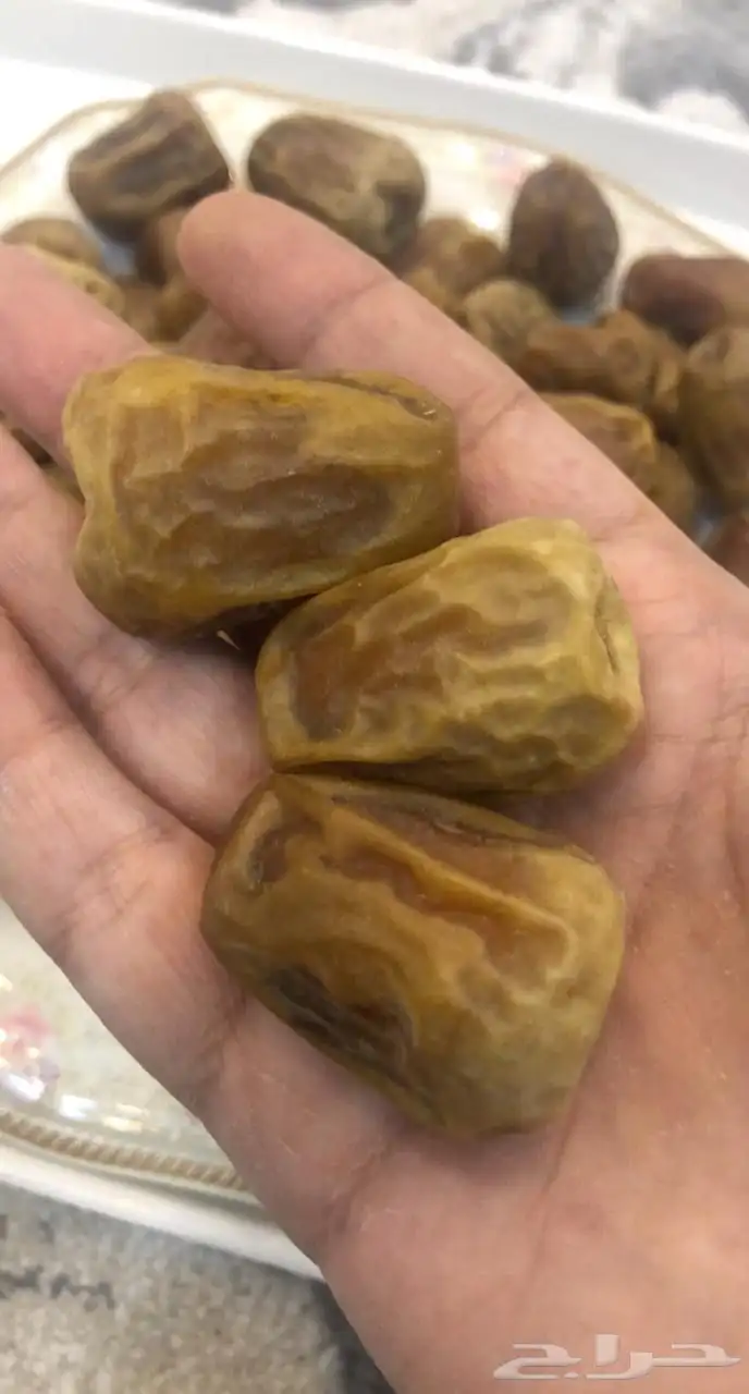 سكري ملكي مفتل 2