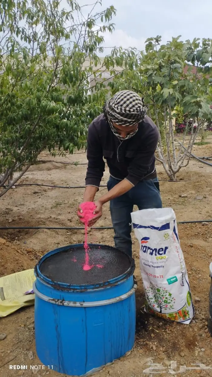 سراة عبيده 3