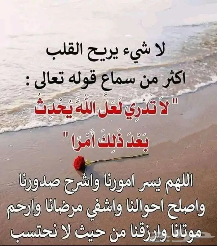 معلمة تأسيس في ابها 0