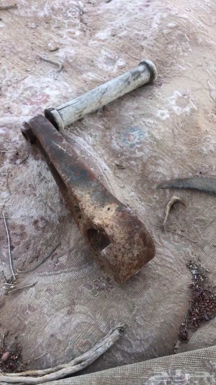 القصيم الرس هندل بلاكستون 0